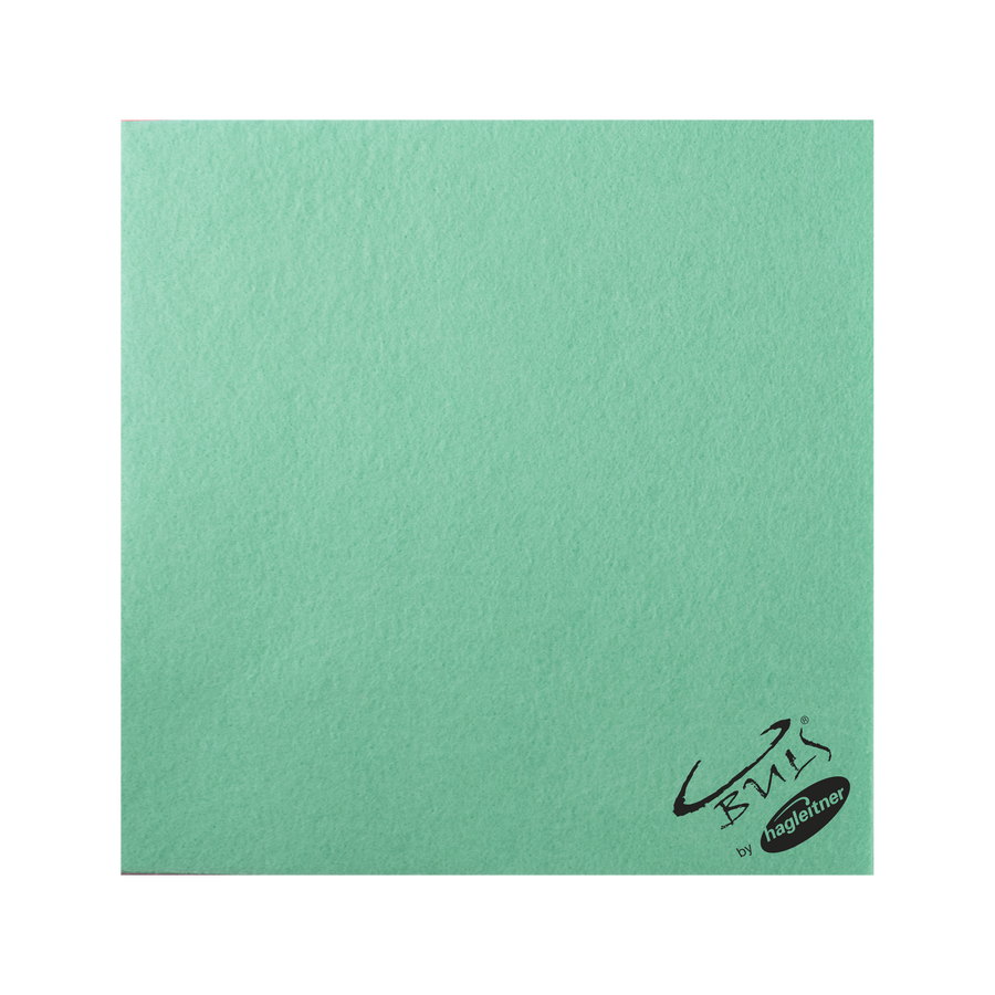 Hagleitner allpurposeTISSUE 38×38 cm — univerzalna meka upijajuća krpa od viskoze, zelena